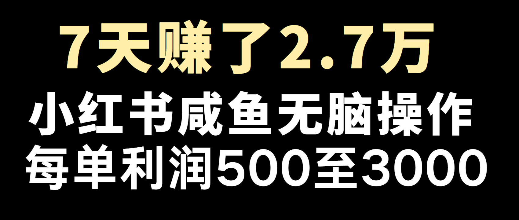 全网首发，7天赚了2.6万，2025利润超级高！-海淘下载站