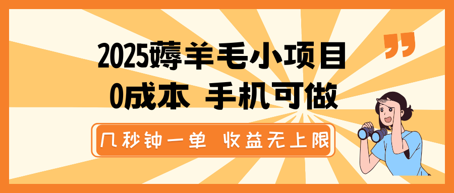 2025薅羊毛小项目，0成本 手机可做，几秒钟一单，收益无上限-海淘下载站