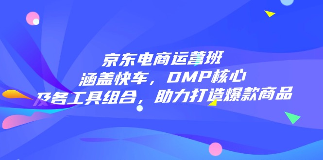 京东电商运营班：涵盖快车，DMP核心及各工具组合，助力打造爆款商品-海淘下载站