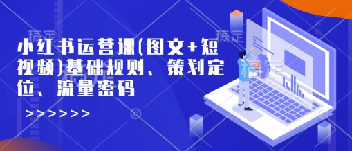 小红书运营课(图文+短视频)基础规则、策划定位、流量密码-海淘下载站