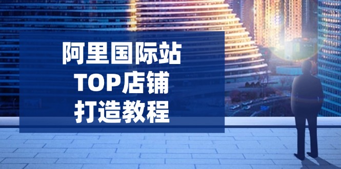 阿里国际站TOP店铺打造教程：涵盖平台到高阶，解决运营难题，提升询盘-海淘下载站