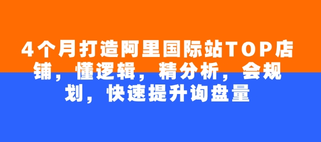 4个月打造阿里国际站TOP店铺，懂逻辑，精分析，会规划，快速提升询盘量-海淘下载站