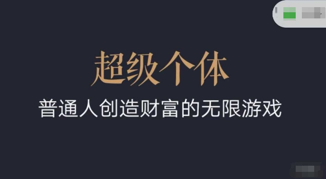 超级个体2024-2025翻盘指南，普通人创造财富的无限游戏-海淘下载站