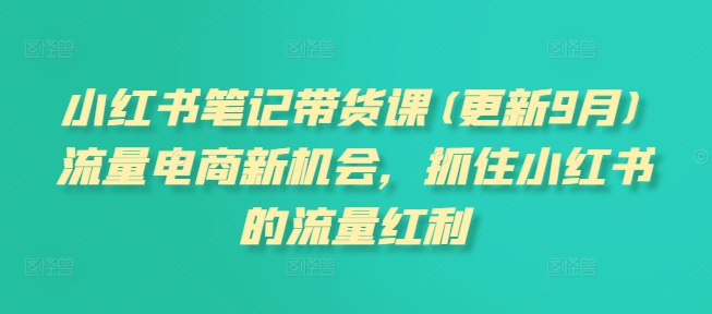 小红书笔记带货课(更新25年2月)流量电商新机会，抓住小红书的流量红利-海淘下载站