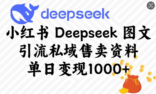 小红书Deepseek图文引流私域售卖资料，单日变现多张-海淘下载站