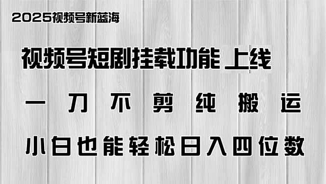 视频号短剧挂载功能上线，一刀不剪纯搬运，小白也能轻松日入四位数-海淘下载站