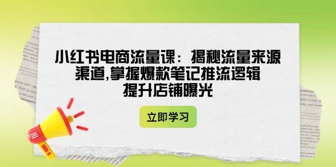 小红书电商流量课：揭秘流量来源渠道,掌握爆款笔记推流逻辑,提升店铺曝光-海淘下载站