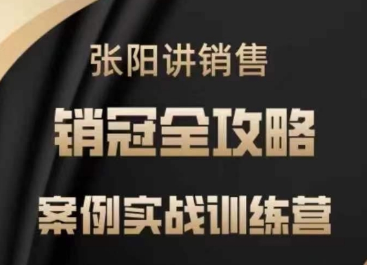 张阳讲销售实战训练营，​案例实战训练，销冠全攻略-海淘下载站