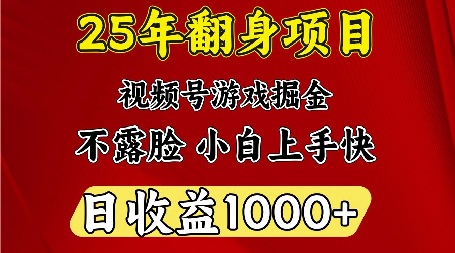 一天收益1000+ 25年开年落地好项目-海淘下载站