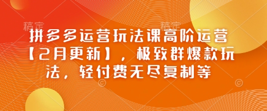 拼多多运营玩法课高阶运营【2月更新】，极致群爆款玩法，轻付费无尽复制等-海淘下载站