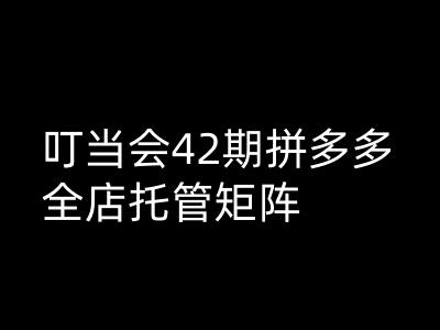 叮当会拼多多打爆班原创高阶技术第42期，拼多多全店托管矩阵-海淘下载站