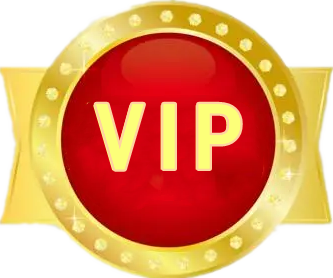 VIP会员