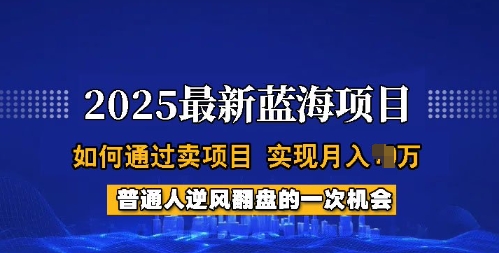 2025蓝海项目，普通人如何通过卖项目，实现月入过W，全过程【揭秘】-海淘下载站