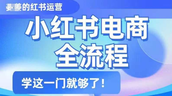 小红书电商全流程，精简易懂，从入门到精通，学这一门就够了-海淘下载站