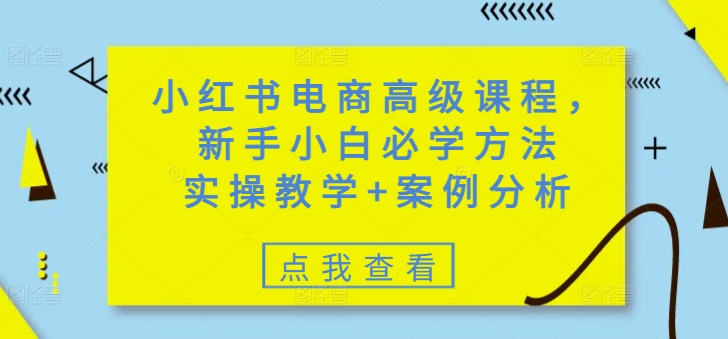 小红书电商高级课程，新手小白必学方法，实操教学+案例分析-海淘下载站