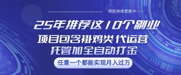 25年推荐这10个副业项目包含褂鸡类、代运营托管类、全自动打金类【揭秘】-海淘下载站