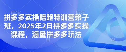 拼多多实操陪跑特训营弟子班，2025年2月拼多多实操课程，海量拼多多玩法-海淘下载站