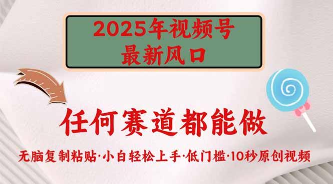 2025年视频号新风口，低门槛只需要无脑执行-海淘下载站