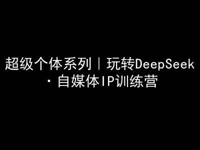 超级个体系列，玩转DeepSeek·自媒体IP训练营，deepseek教程-海淘下载站