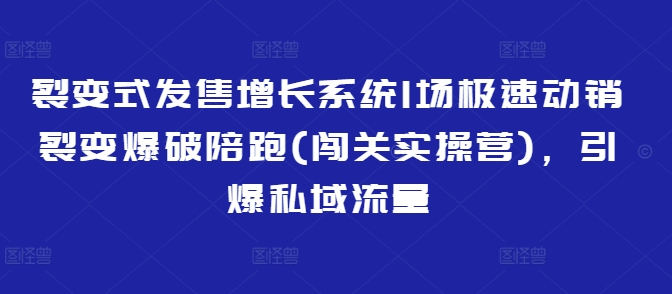 裂变式发售增长系统1场极速动销裂变爆破陪跑(闯关实操营)，引爆私域流量-海淘下载站