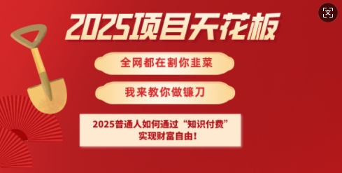 2025项目天花板普通人如何通过知识付费，实现财F自由【揭秘】-海淘下载站