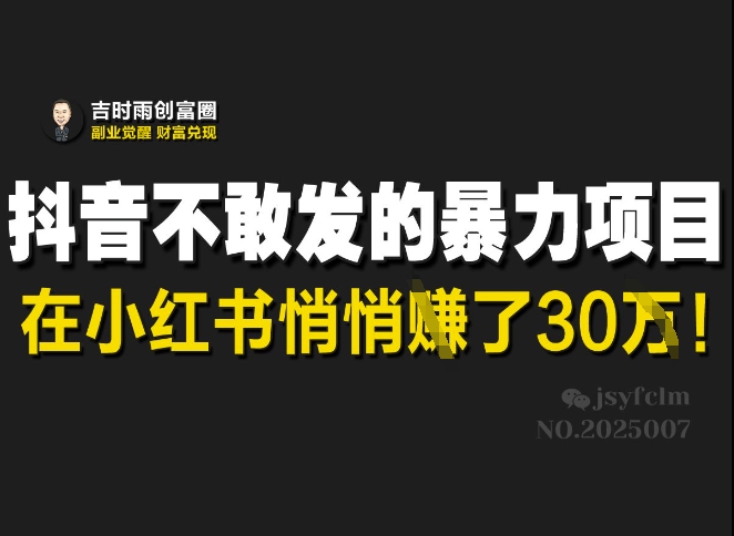 抖音不敢发的暴利项目，在小红书悄悄挣了30W-海淘下载站