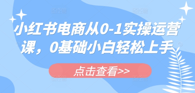 小红书电商从0-1实操运营课，0基础小白轻松上手-海淘下载站