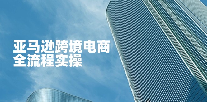 亚马逊跨境电商全流程实操，教你从零开始，掌握店铺运营与广告技巧-海淘下载站