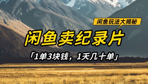 闲鱼卖纪录片1单3块钱，1天几十单，项目稳定有潜力-海淘下载站