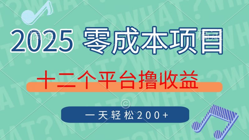 2025年零成本项目，十二个平台撸收益，单号一天轻松200+-海淘下载站