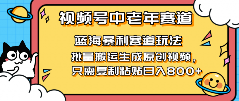2025视频号中老年短视频蓝海暴利风口！复制粘贴搬运视频单日赚800+，无…-海淘下载站