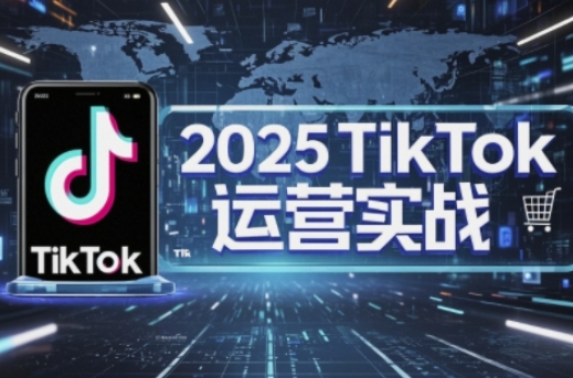 2025TikTok电商运营，掌握TikTok店铺运营核心技巧，实现低成本高转化-海淘下载站