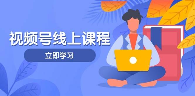 视频号实战课程,轻IP打造与运营技巧,掌握核心方法与策略-海淘下载站
