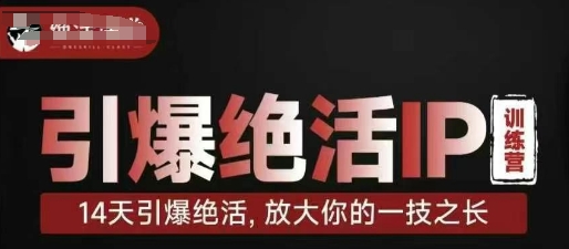 引爆绝活IP训练营，14天引爆绝活，放大你的一技之长-海淘下载站