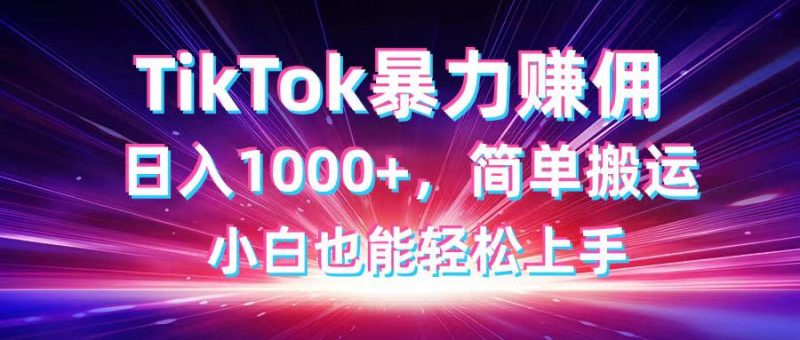 TikTok搬运暴力赚佣，日入1000+，简单搬运，小白也能轻松上手-海淘下载站