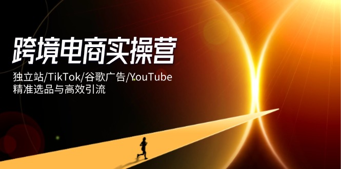跨境电商实操营：独立站/TikTok/谷歌广告/YouTube，精准选品与高效引流-海淘下载站
