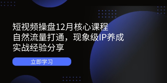 短视频操盘12月核心课程：自然流量打通，现象级IP养成，实战经验分享-海淘下载站