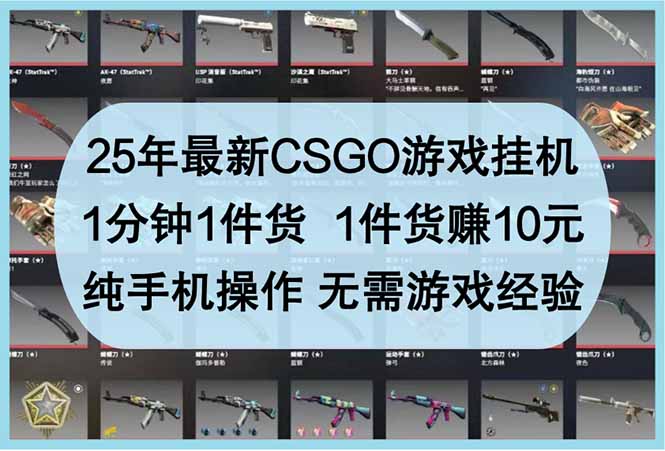 25年最新CSGO游戏挂机,1分钟1件货,1件货赚10元 纯手机操作 无需游戏经验-海淘下载站
