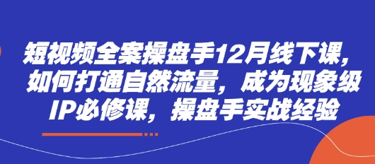 短视频全案操盘手12月线下课,如何打通自然流量,成为现象级IP必修课,操盘手实战经验-海淘下载站