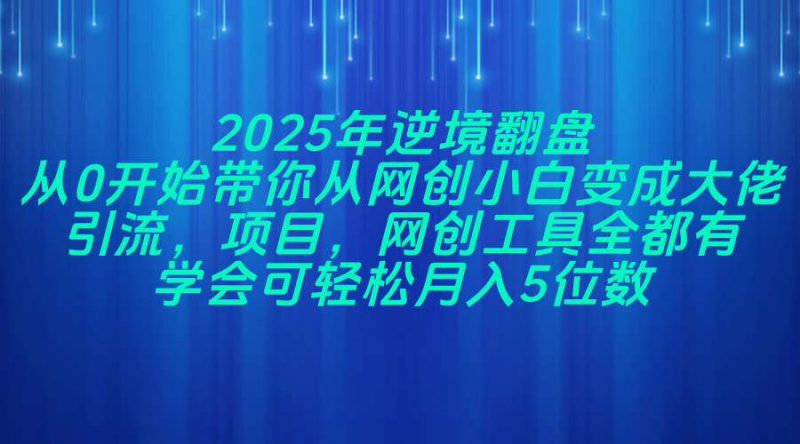 2025年逆境翻盘,从0开始带你从网创小白变成大佬,引流,项目,网创工…-海淘下载站