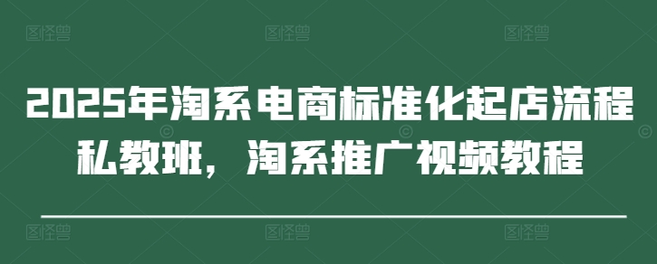 2025年淘系电商标准化起店流程私教班，淘系推广视频教程-海淘下载站