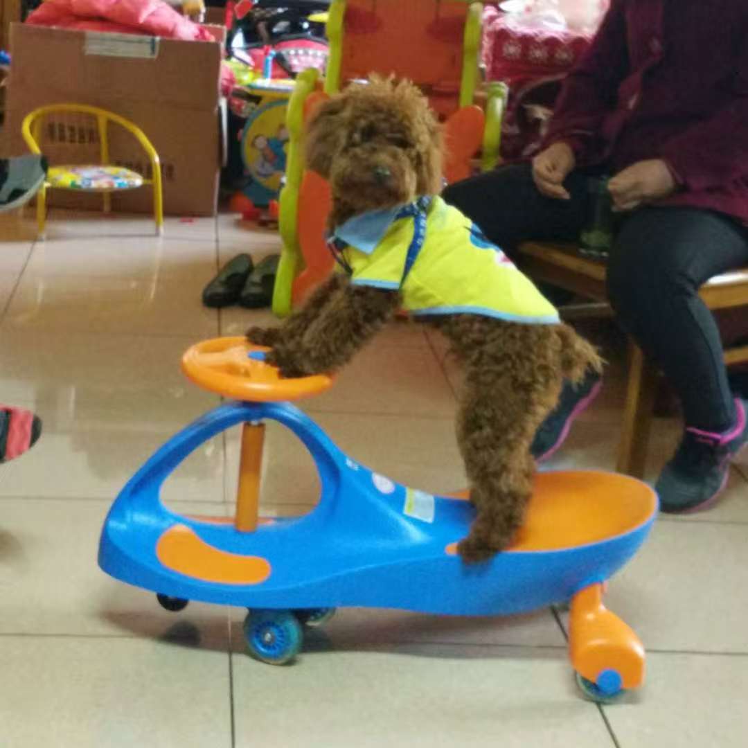 用户12528247的头像-海淘下载站