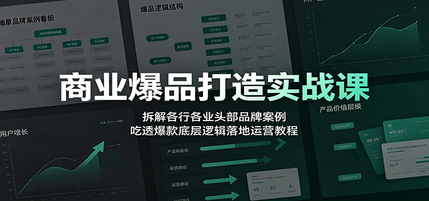 商业爆品打造实战课：拆解各行各业头部品牌案例，吃透爆款底层逻辑落地运营教程-海淘下载站
