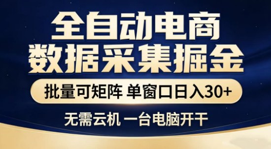 独家电商数据全自动采集项目，批量可矩阵，单窗口轻松日入3张+【揭秘】-海淘下载站