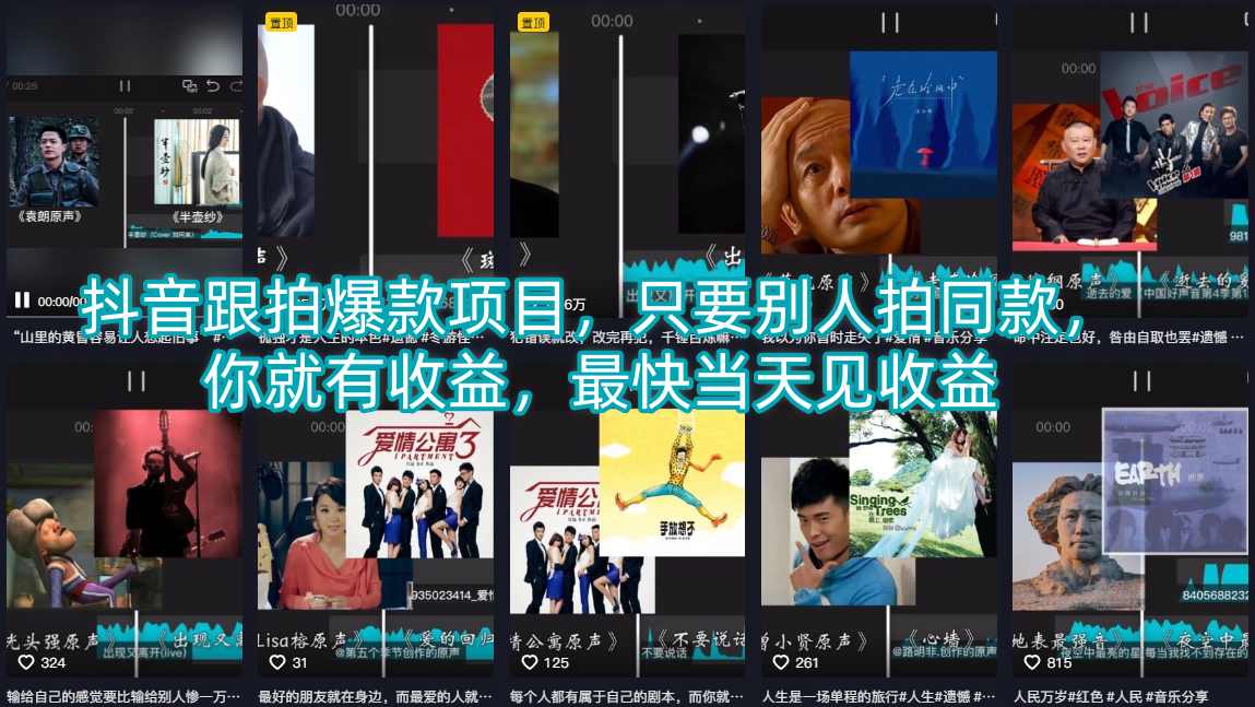 抖音跟拍爆款项目，只要别人拍同款，你就有收益，最快当天见收益-海淘下载站