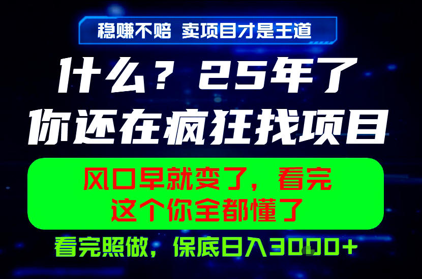 26年,请不要疯狂的找项目做了!卖项目才是真的稳賺不赔,看完照做,保底日入1k+【揭秘】-海淘下载站