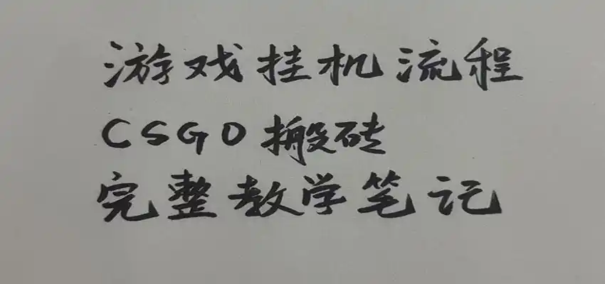 游戏挂机全流程笔记分享,CSGO游戏搬砖,小白看了当天学会见收益-海淘下载站