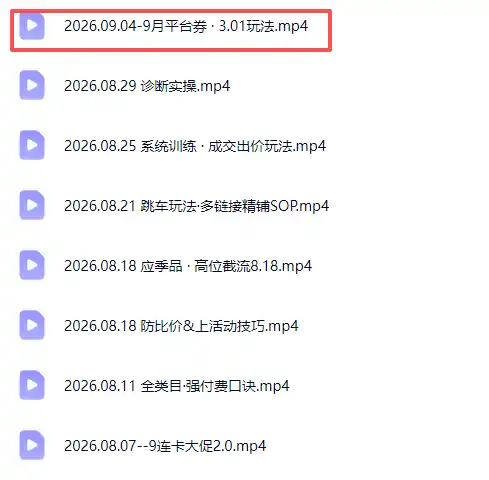 拼多多实战特训营(更新26年9月 拼多多实战特训营(更新26年9月