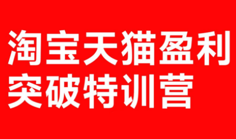 玺承·淘宝天猫盈利突破特训营(25年12月线下课)【音频+字幕】-海淘下载站