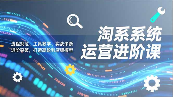 淘系系统运营进阶课2.0，流程规范、工具教学、实战诊断，进阶突破，打造高盈利店铺模型-海淘下载站